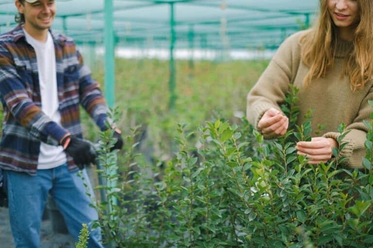 1500 zł także dla rolników – Można już składać wnioski!