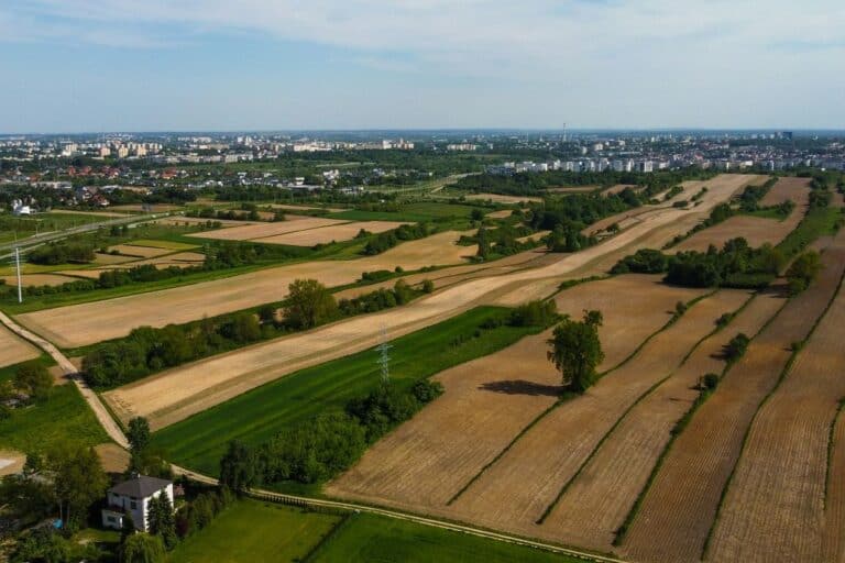 Dopłaty bezpośrednie i ekoschematy 2026. Resort rolnictwa podał szacunkowe stawki płatności